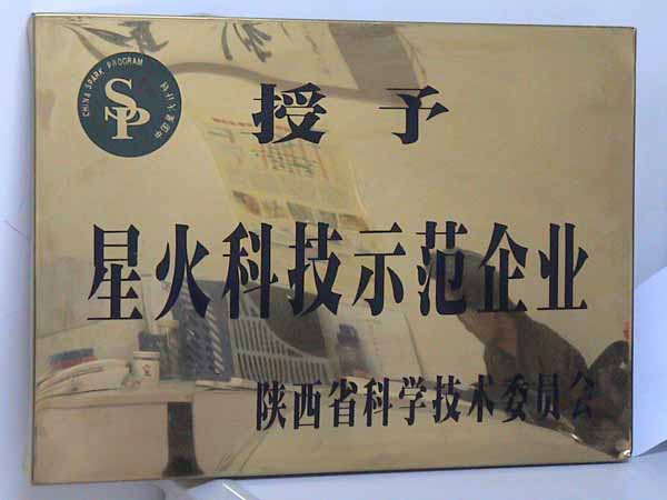 星火科技示范企业