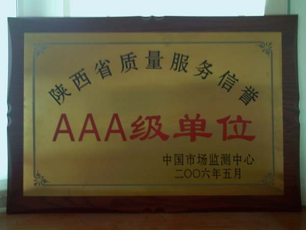 AAA级单位