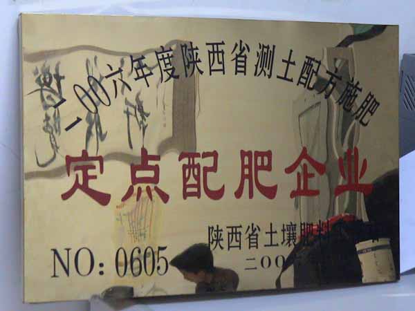 定点配肥企业