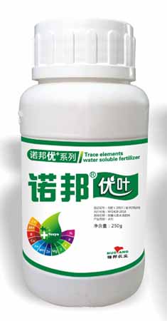 诺邦优叶