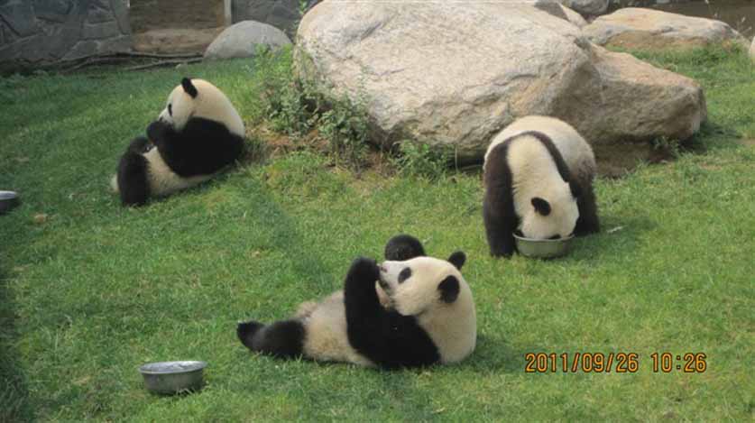 悠然自得