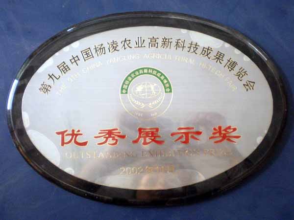 2002年度