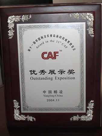 2004年度